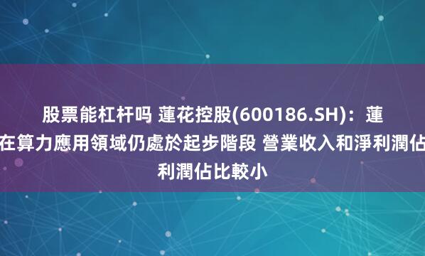 股票能杠杆吗 蓮花控股(600186.SH)：蓮花紫星在算力應用領域仍處於起步階段 營業收入和淨利潤佔比較小