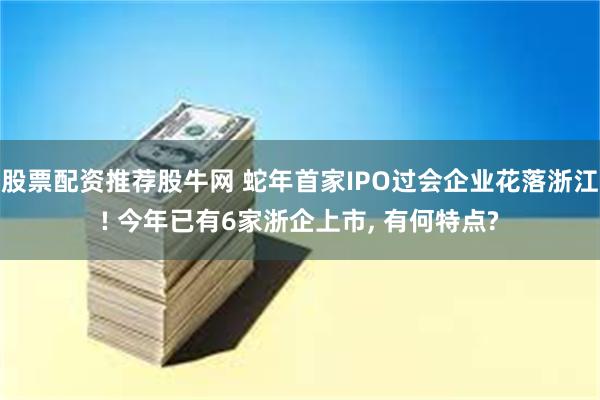 股票配资推荐股牛网 蛇年首家IPO过会企业花落浙江! 今年已有6家浙企上市, 有何特点?